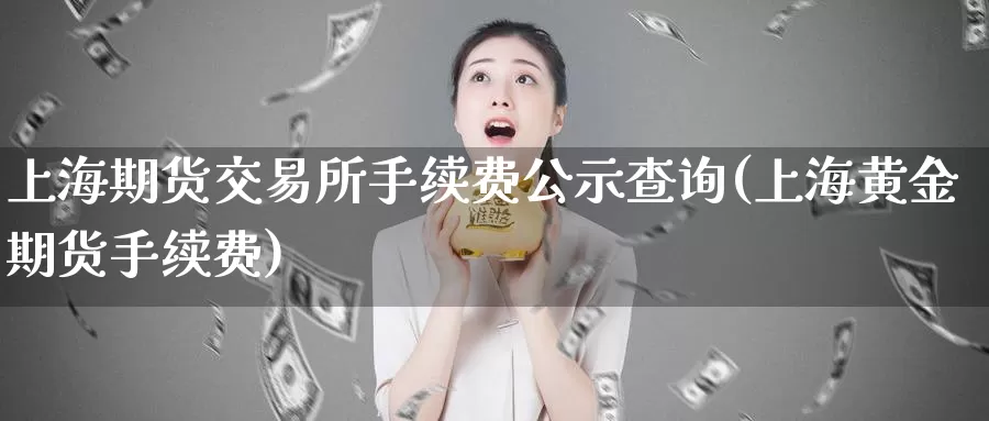 上海期货交易所手续费公示查询(上海黄金期货手续费)_https://hj.wpmee.com_黄金期货_第1张