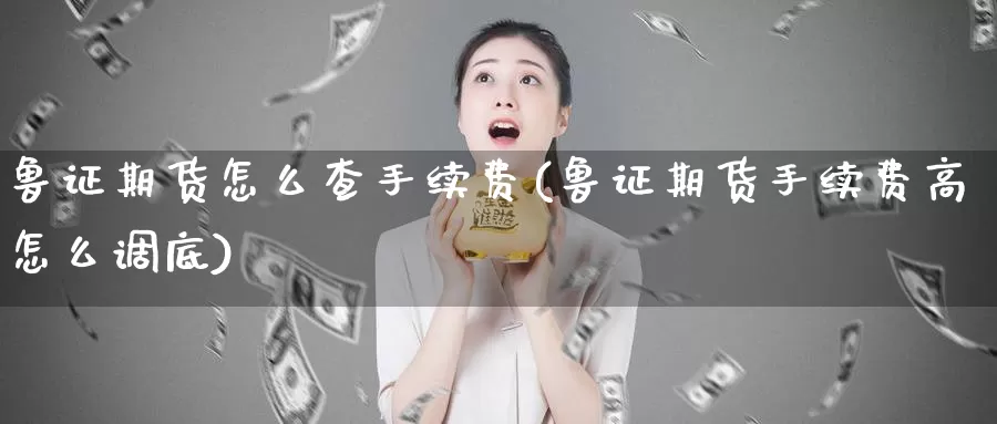 鲁证期货怎么查手续费(鲁证期货手续费高怎么调底)_https://hj.wpmee.com_原油期货_第1张