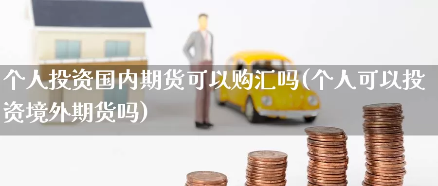 个人投资国内期货可以购汇吗(个人可以投资境外期货吗)_https://hj.wpmee.com_德指期货_第1张