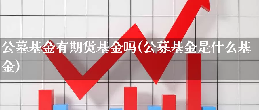 公墓基金有期货基金吗(公募基金是什么基金)_https://hj.wpmee.com_外盘期货直播间_第1张