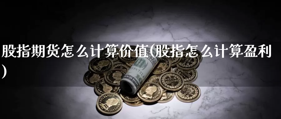 股指期货怎么计算价值(股指怎么计算盈利)_https://hj.wpmee.com_德指期货_第1张